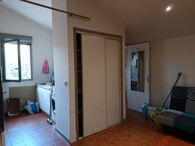 Annonce Location Appartement Furiani 20