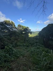 Annonce Vente Terrain Francois 972