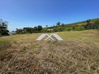 Annonce Vente Terrain Saint-joseph 974