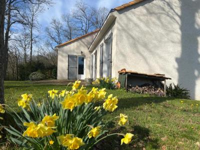 Annonce Vente 5 pi�ces Maison Vertou 44