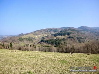 For sale Croix-aux-mines 1639 m2 Vosges (88520) photo 0