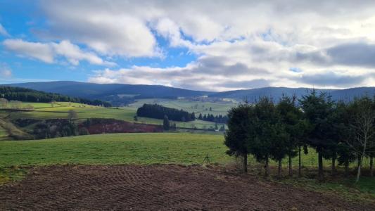 Acheter Maison Riotord 280000 euros