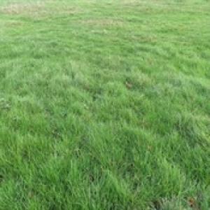 For sale Saugnacq-et-muret 930 m2 Landes (40410) photo 1