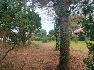 Annonce Vente Terrain Biganos 33