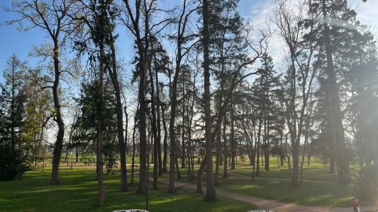 For sale Feurs 3 rooms 84 m2 Loire (42110) photo 3