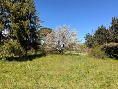 For sale Tour-d'aigues 550 m2 Vaucluse (84240) photo 0