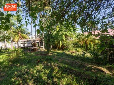 Annonce Vente Terrain Tampon 974