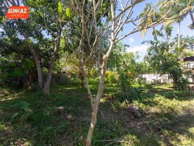 Acheter Terrain Tampon Reunion