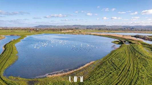 For sale Varaville 32767 m2 Calvados (14390) photo 0