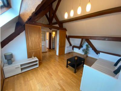 Louer Appartement 45 m2 Champigny-sur-marne