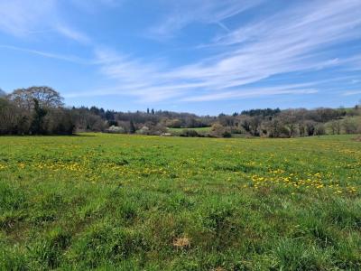 Annonce Vente Terrain  87