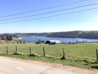 For sale LAC DE VILLEREST 150 m2 Loire (42300) photo 4