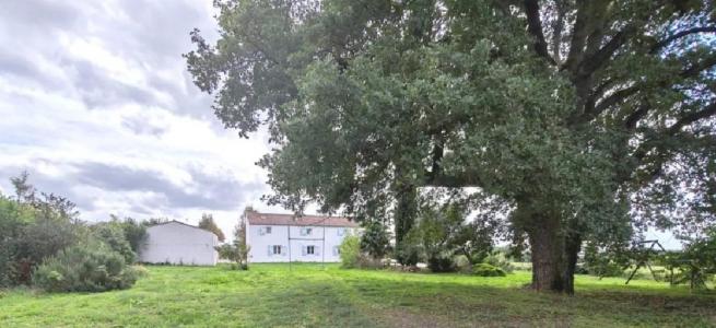 Acheter Maison  299000 euros