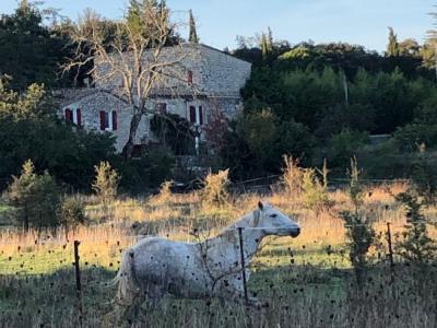 Annonce Vente Prestige Tornac 30