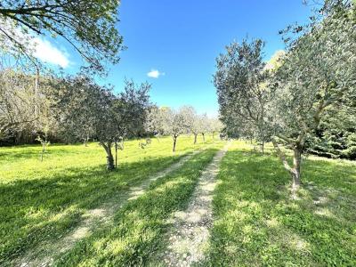 For sale Grans 18 rooms 400 m2 Bouches du Rhone (13450) photo 3