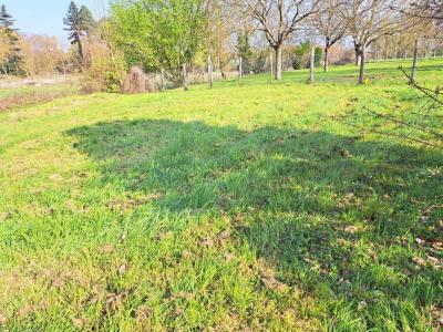 Annonce Vente Terrain Corze 49