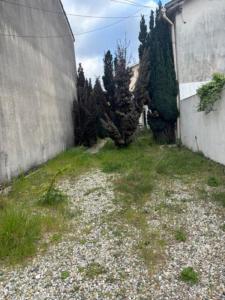 For sale Bouscat 3 rooms 96 m2 Gironde (33110) photo 0