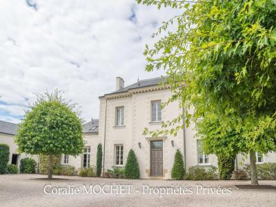 For sale Sorinieres 20 rooms 454 m2 Loire atlantique (44840) photo 1