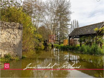 Annonce Vente 5 pi�ces Maison Cour-cheverny 41