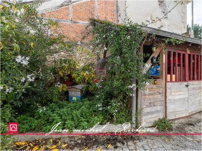 Acheter Maison Cour-cheverny Loir et cher