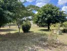 For sale Land Brach  494 m2