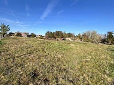 Acheter Terrain 4724 m2 Pugnac