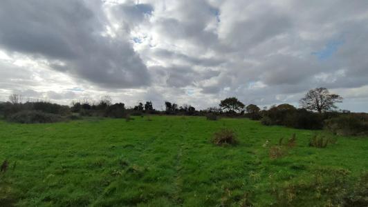 Annonce Vente Terrain Chambretaud 85