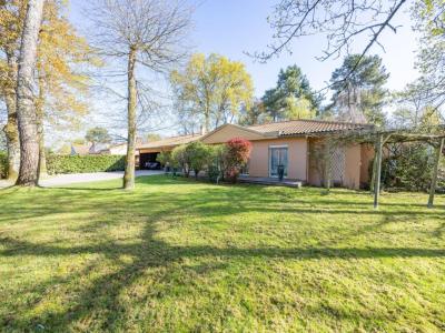 Acheter Maison 287 m2 Basse-goulaine
