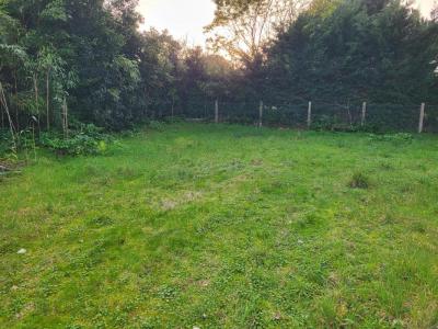 Annonce Vente Terrain Barbatre 85