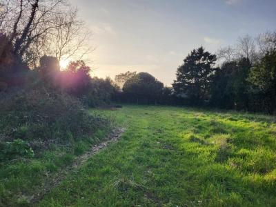 Acheter Terrain 768 m2 Barbatre