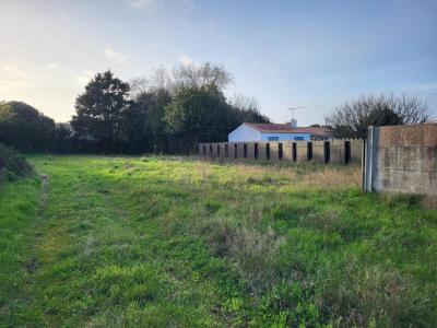 Annonce Vente Terrain Barbatre 85