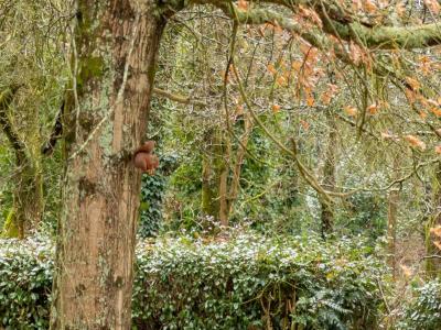 Acheter Appartement Nantes 170400 euros