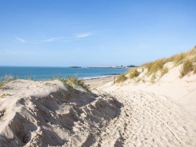 Annonce Vente Terrain Epine 85