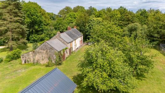 Annonce Vente 9 pi�ces Maison Vigneux-de-bretagne 44