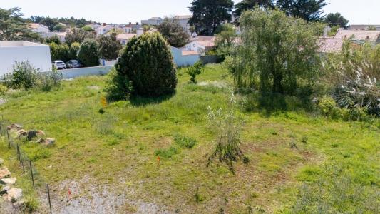 Annonce Vente Terrain Gueriniere 85