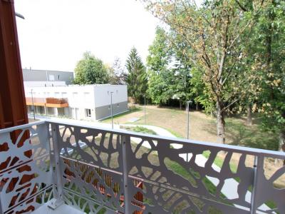Annonce Location 2 pi�ces Appartement Nantes 44