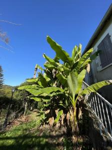 For sale Jumilhac-le-grand 5 rooms 128 m2 Dordogne (24630) photo 3