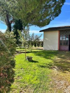 Acheter Immeuble 406 m2 Castelsarrasin