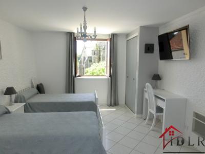 For sale Bourbonne-les-bains 235 m2 Haute marne (52400) photo 4