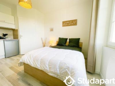 Annonce Location Appartement Saint-martin-le-vinoux 38