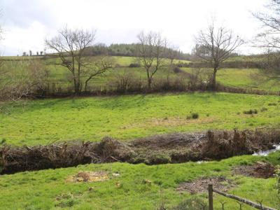 Annonce Vente 3 pi�ces Maison Chissey-en-morvan 71