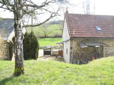 Acheter Maison 95 m2 Chissey-en-morvan