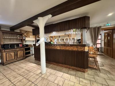 Acheter Immeuble 389 m2 Waltenheim-sur-zorn