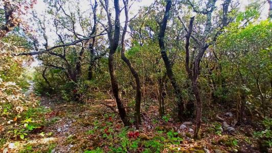 For sale Herault (34360) photo 0