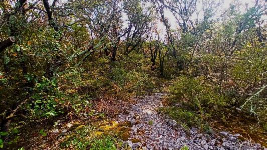 Annonce Vente Terrain  34