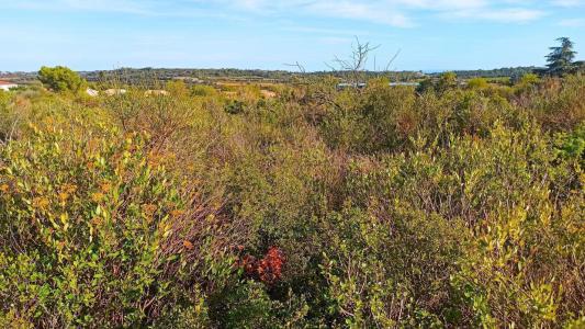 Acheter Terrain  Herault