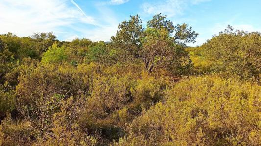 Acheter Terrain  9900 euros