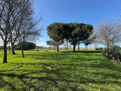 Annonce Vente 9 pi�ces Maison Beaulieu-sur-layon 49