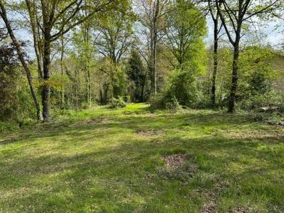 Acheter Maison Haux Gironde