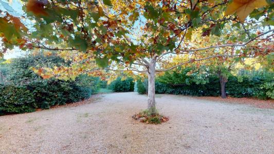 For sale Muy 11 rooms 355 m2 Var (83490) photo 4